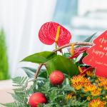 Chậu Hoa Thiết Kế Giáng Sinh Ngọt Ngào 172