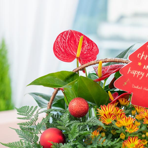 Chậu Hoa Thiết Kế Giáng Sinh Ngọt Ngào 172