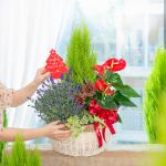 Chậu Hoa Thiết Kế Giáng Sinh Ngọt Ngào 175