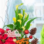 Chậu Hoa Thiết Kế Giáng Sinh Ngọt Ngào 171