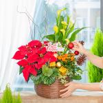 Chậu Hoa Thiết Kế Giáng Sinh Ngọt Ngào 171