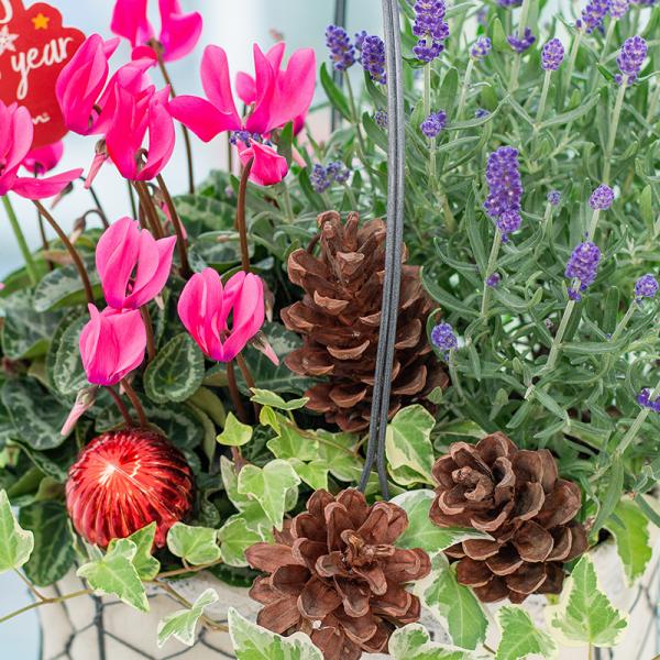 Chậu Hoa Thiết Kế Giáng Sinh Ngọt Ngào 176