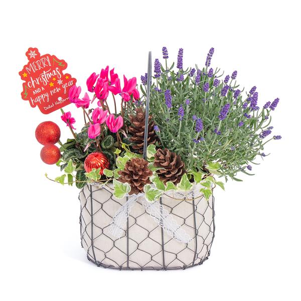 Chậu Hoa Thiết Kế Giáng Sinh Ngọt Ngào 176