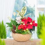 Chậu Hoa Thiết Kế Giáng Sinh Ngọt Ngào 173