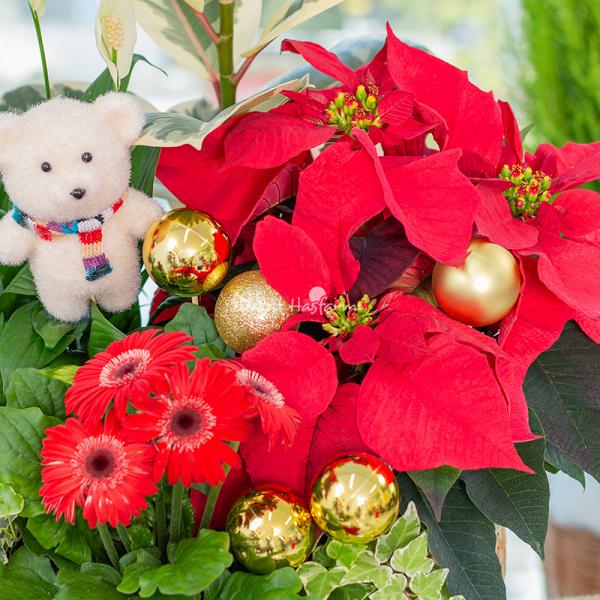 Chậu Hoa Thiết Kế Giáng Sinh Ngọt Ngào 173