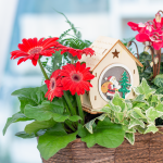 Chậu Hoa Thiết Kế Giáng Sinh Ngọt Ngào 169