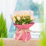 Chậu Hoa Thiết Kế Điều Ngọt Ngào 116