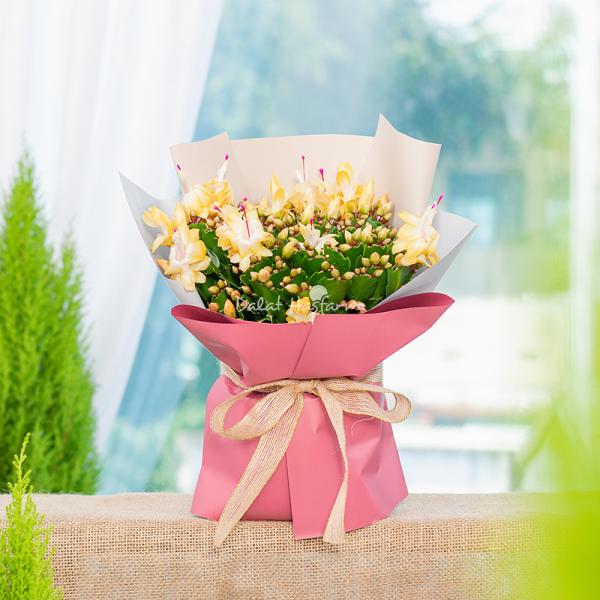 Chậu Hoa Thiết Kế Điều Ngọt Ngào 116