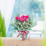 Chậu Hoa Thiết Kế Điều Ngọt Ngào 118