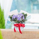 Chậu Hoa Thiết Kế Điều Ngọt Ngào 103