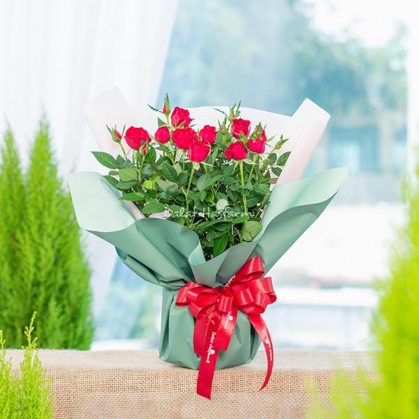 Chậu Hoa Thiết Kế Điều Ngọt Ngào 117