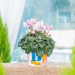 Chậu Sứ Hoa Anh Thảo 030