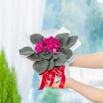 Chậu Hoa Thiết Kế Điều Ngọt Ngào 103