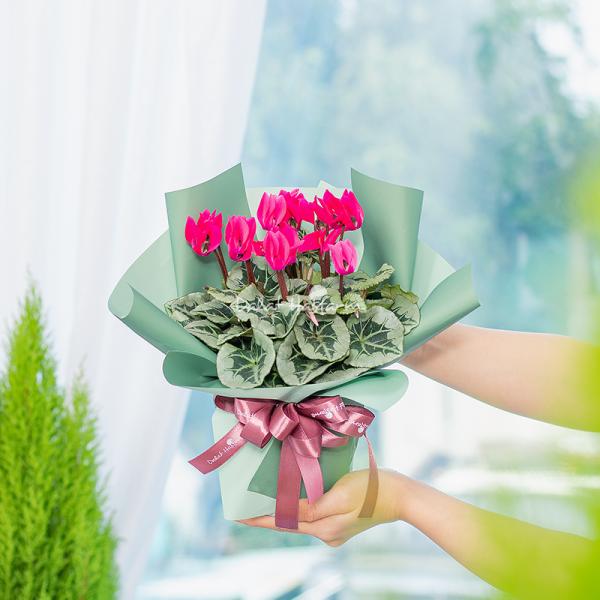 Chậu Hoa Thiết Kế Điều Ngọt Ngào 118