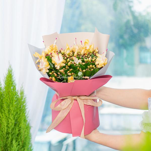 Chậu Hoa Thiết Kế Điều Ngọt Ngào 116