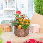 Chậu Hoa Thiết Kế Giáng Sinh Ngọt Ngào 172