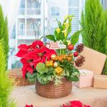 Chậu Hoa Thiết Kế Giáng Sinh Ngọt Ngào 171