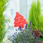 Chậu Hoa Thiết Kế Giáng Sinh Ngọt Ngào 175