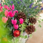 Chậu Hoa Thiết Kế Giáng Sinh Ngọt Ngào 176