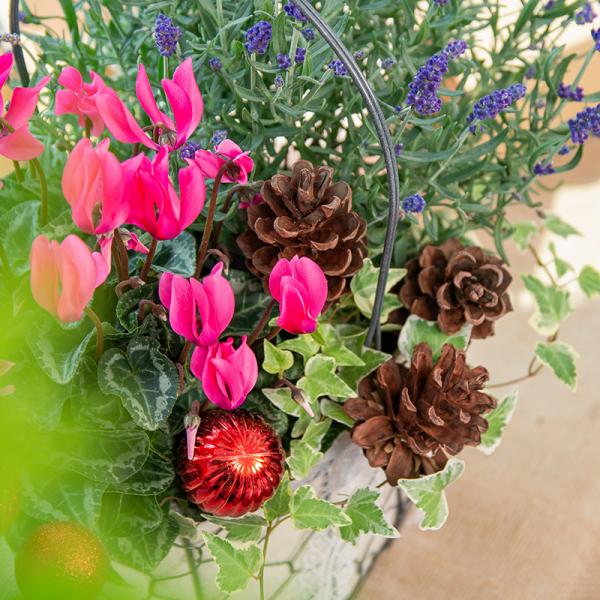 Chậu Hoa Thiết Kế Giáng Sinh Ngọt Ngào 176