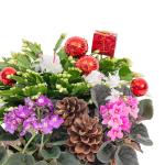 Chậu Hoa Thiết Kế Giáng Sinh Ngọt Ngào 177