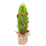 Chậu Giấy Gói Cây Tùng Thơm (60cm+) Decor 124