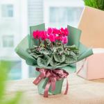 Chậu Hoa Thiết Kế Điều Ngọt Ngào 118