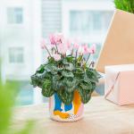 Chậu Sứ Hoa Anh Thảo 030