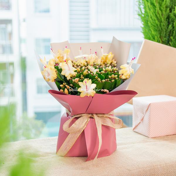 Chậu Hoa Thiết Kế Điều Ngọt Ngào 116