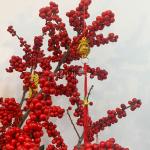 Đào Đông - Đón Xuân Phú Quý