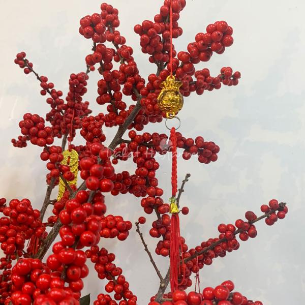 Đào Đông - Đón Xuân Phú Quý