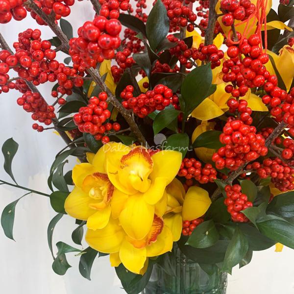 Đào Đông - Năm Mới Thịnh Vượng