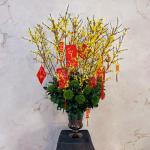 Mai Mỹ - Đầu Xuân Tài Lộc