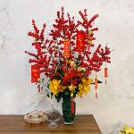 Đào Đông - Năm Mới Thịnh Vượng