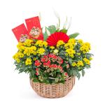 Chậu Hoa Thiết Kế Vạn Lộc 188