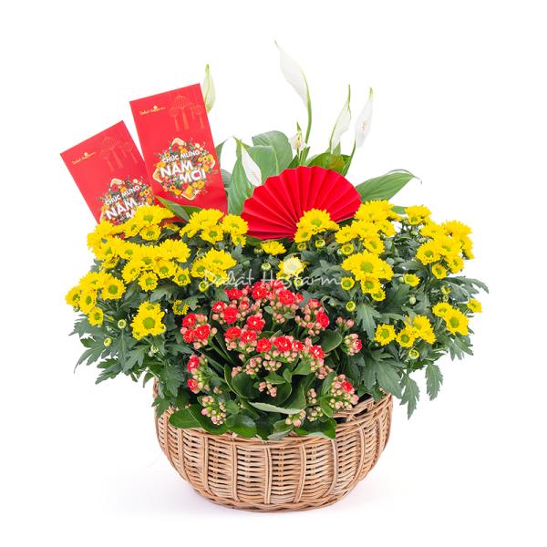 Chậu Hoa Thiết Kế Vạn Lộc 188