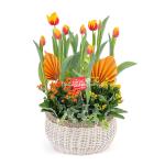 Chậu Hoa Thiết Kế Vạn Lộc 186