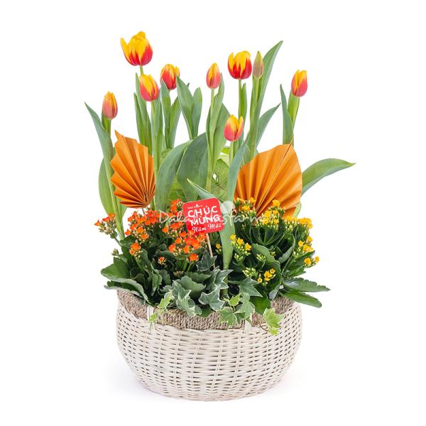 Chậu Hoa Thiết Kế Vạn Lộc 186