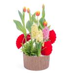 Chậu Hoa Thiết Kế Sắc Xuân 184