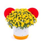 Chậu Sứ Hoa Cúc Hoàn Cầu 199