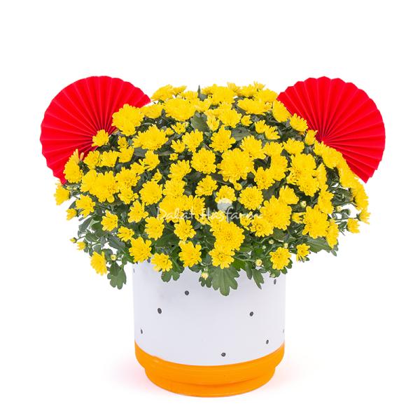 Chậu Sứ Hoa Cúc Hoàn Cầu 199