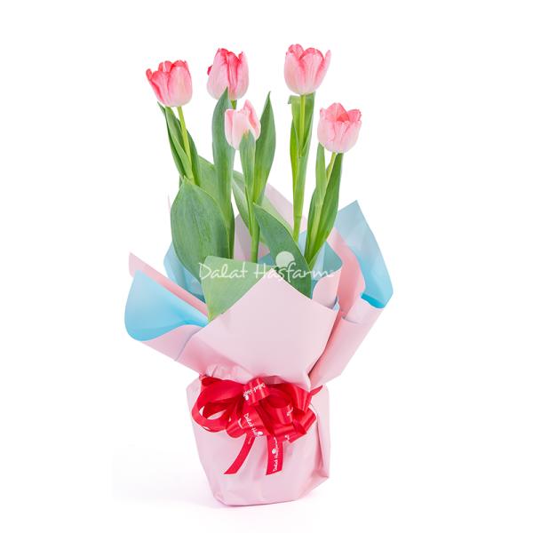 Chậu Giấy Gói Hoa Tulip 127