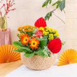 Chậu Hoa Thiết Kế Vạn Lộc 190