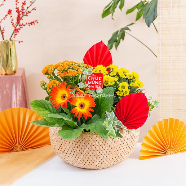 Chậu Hoa Thiết Kế Vạn Lộc 190