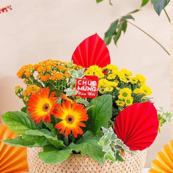 Chậu Hoa Thiết Kế Vạn Lộc 190