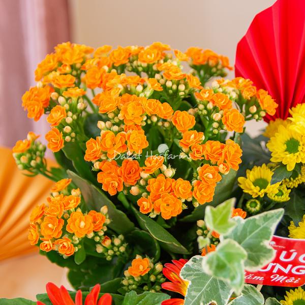 Chậu Hoa Thiết Kế Vạn Lộc 190