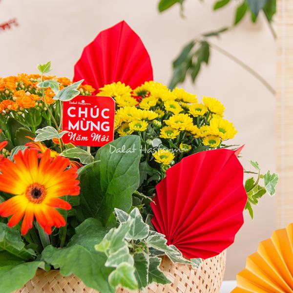 Chậu Hoa Thiết Kế Vạn Lộc 190