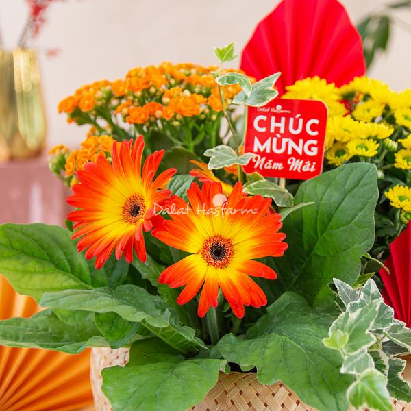 Chậu Hoa Thiết Kế Vạn Lộc 190