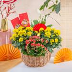 Chậu Hoa Thiết Kế Vạn Lộc 188