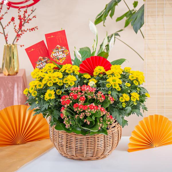 Chậu Hoa Thiết Kế Vạn Lộc 188